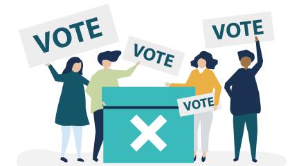 Voting and democracy