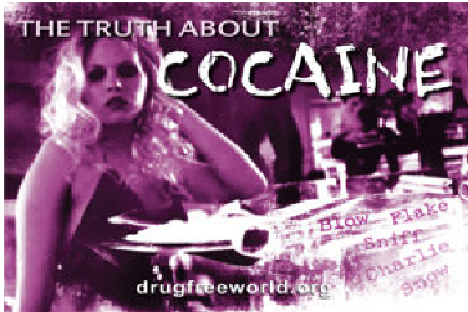 The truth about cocaine