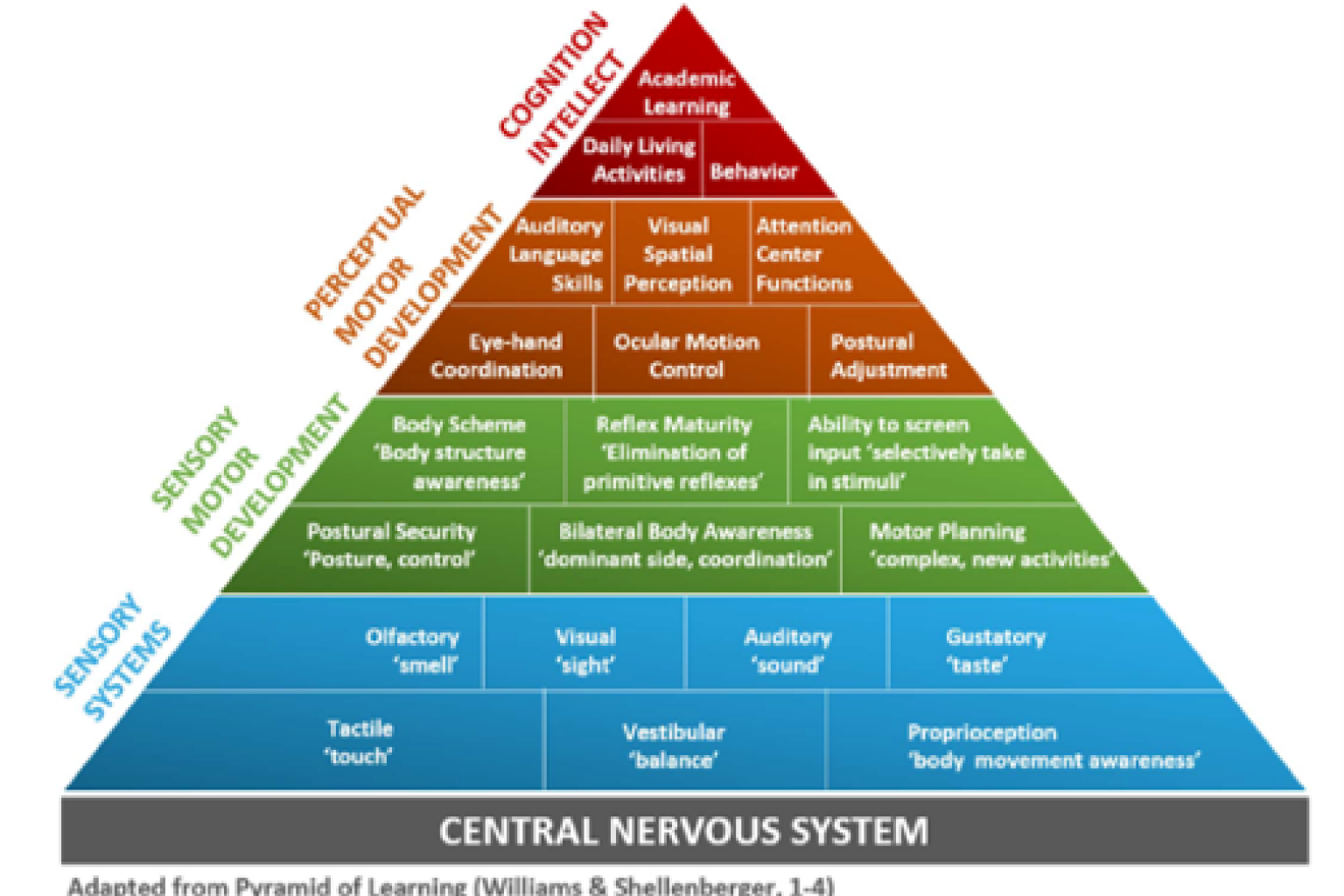 Pyramid of learning