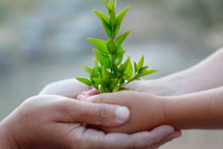 Preparing for adulthood