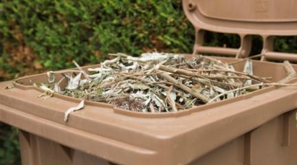 A brown wheelie bin full of garden waste