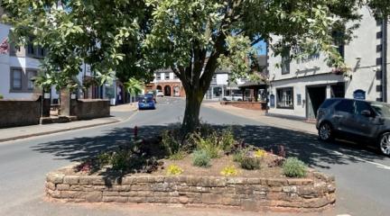 Sustainably planted beds at Great Dockray in Penrith