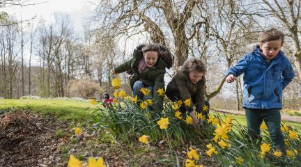 children hunt for eater eggs outside