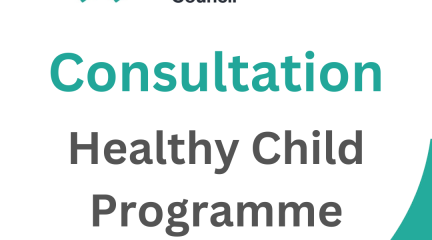 Healthy child programme consultation