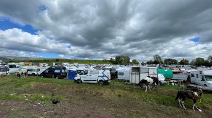The Market Field at Appleby Horse Fair 20024