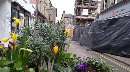 Flowers in a planter in Market Street.