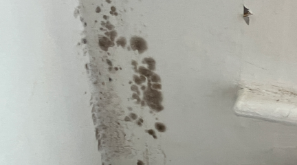 Damp in the corner of a room in Barrow private rental property