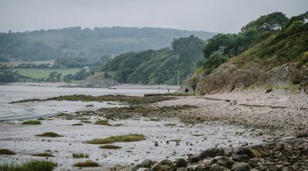 The shore at Silverdale, looking towards Arnside