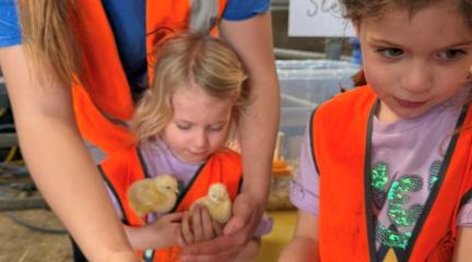 Two girls holding chicks.