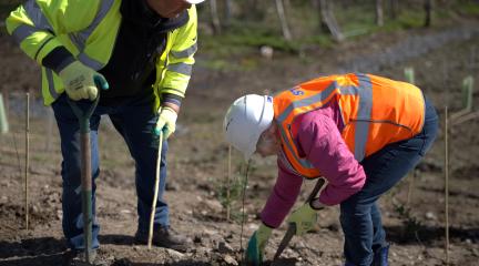 Two local residents planting a tree in the ground wearing hi-vis jackets and a hard hat