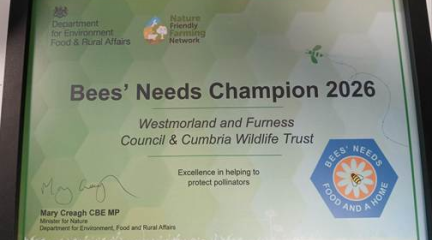 Bees' Needs Champion Award 2026