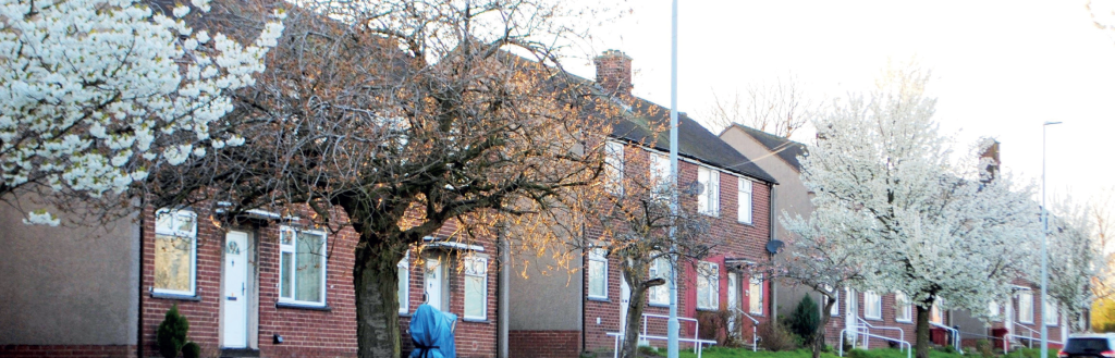 A row of house with trees in blossom running along the front