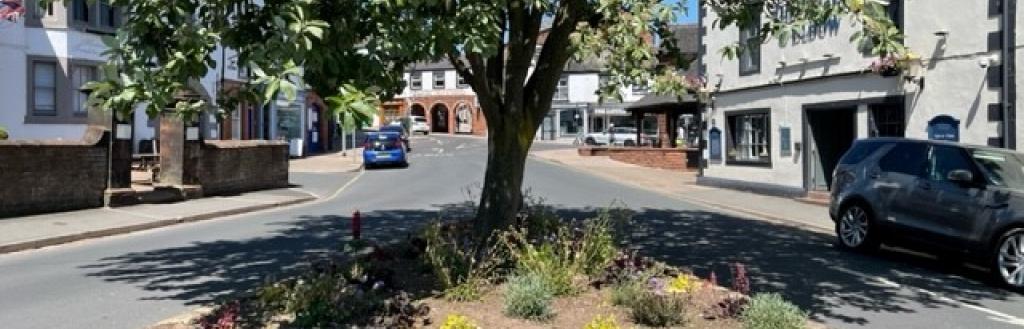 Sustainably planted beds at Great Dockray in Penrith