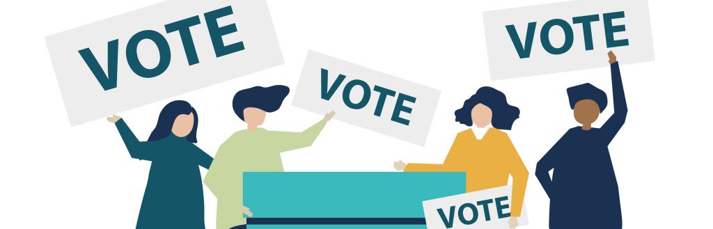 Voting and democracy