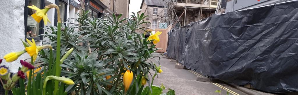 Flowers in a planter in Market Street.