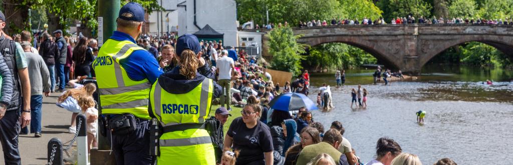RSPCA Officers at the 2025 Appleby Horse Fair