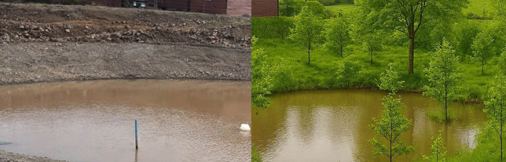 Artist representation of after the Community Tree Planting Event