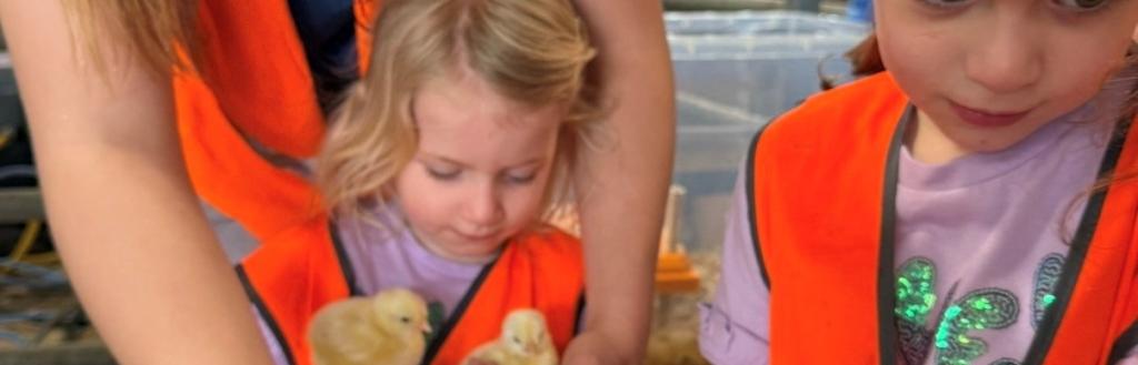 Two girls holding chicks.