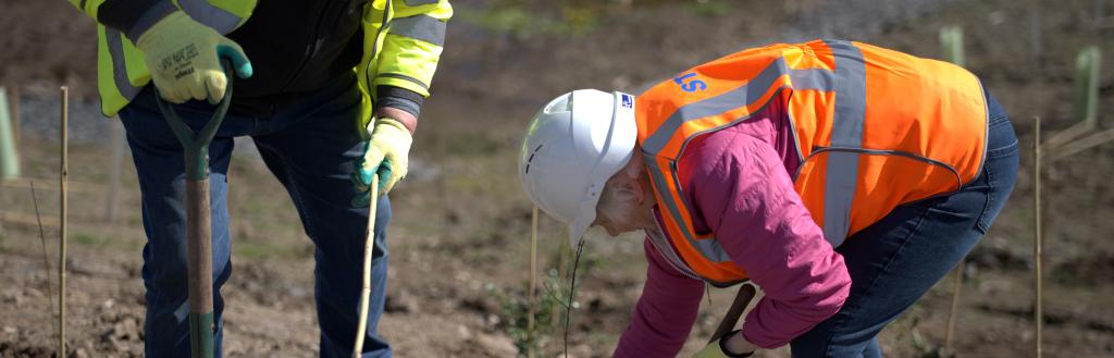 Two local residents planting a tree in the ground wearing hi-vis jackets and a hard hat