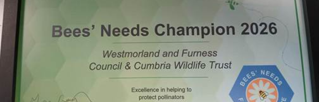 Bees' Needs Champion Award 2026